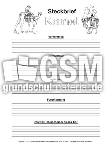 Kamel-Steckbriefvorlage-sw.pdf